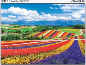 54-240虹色の四季彩の丘-北海道