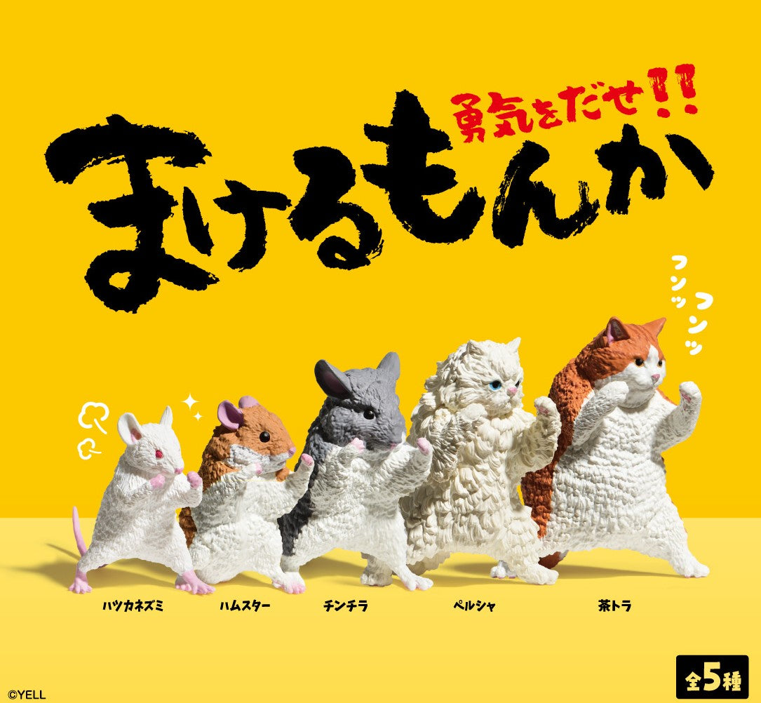 まけるもんか 1箱 10個入