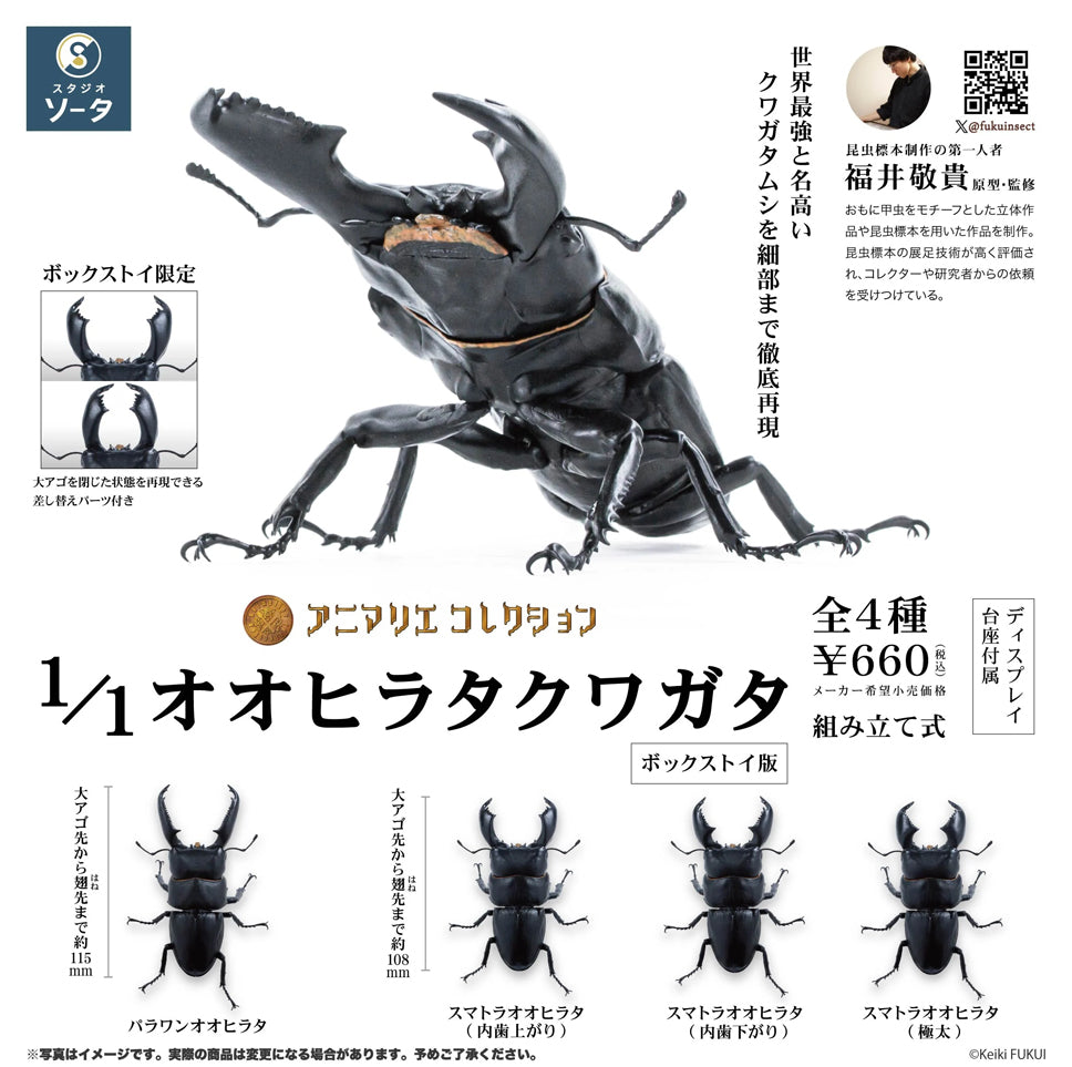 アニマリエコレクション 1/1オオヒラタクワガタ 1個
