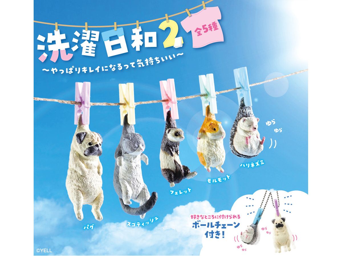 洗濯日和2 1箱 10個入